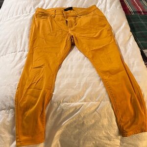 Lane Bryant Mustard Yellow Pants
